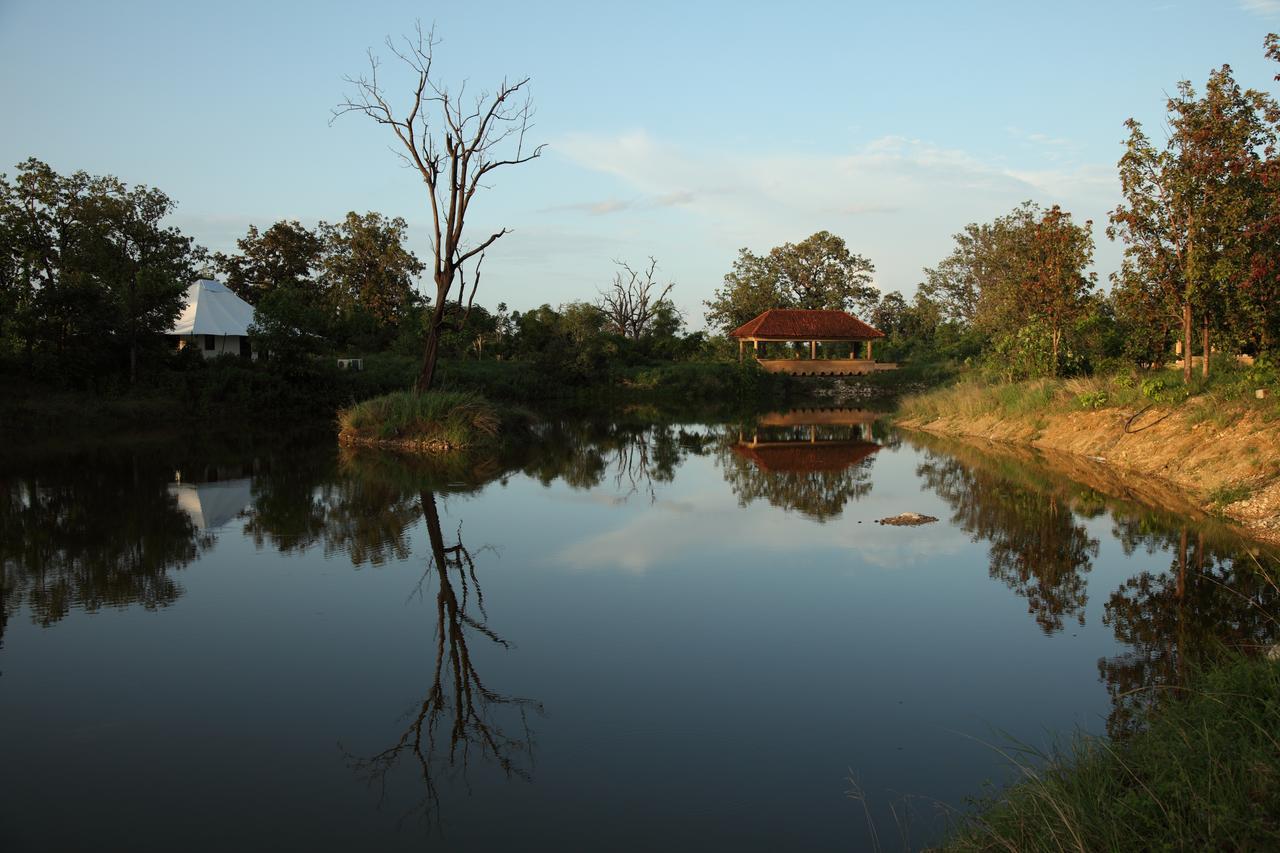 Tuli Tiger Corridor Hotel Kurha Bagian luar foto